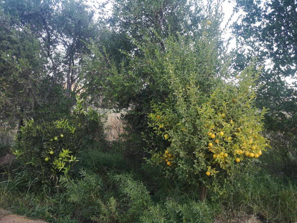 Cabana Jacaranda Salamanca 外观 照片